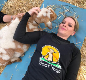 Original Goat Yoga Cedar Point IL