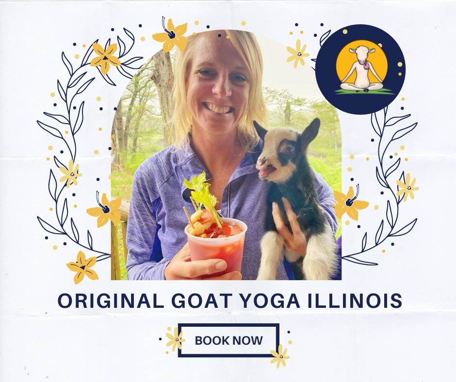 Goat Yoga & Mimosa Bloody Mary Happy Hour